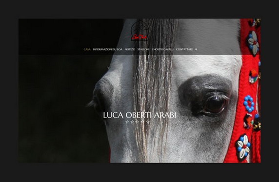 luca-oberti-arabian.jpg